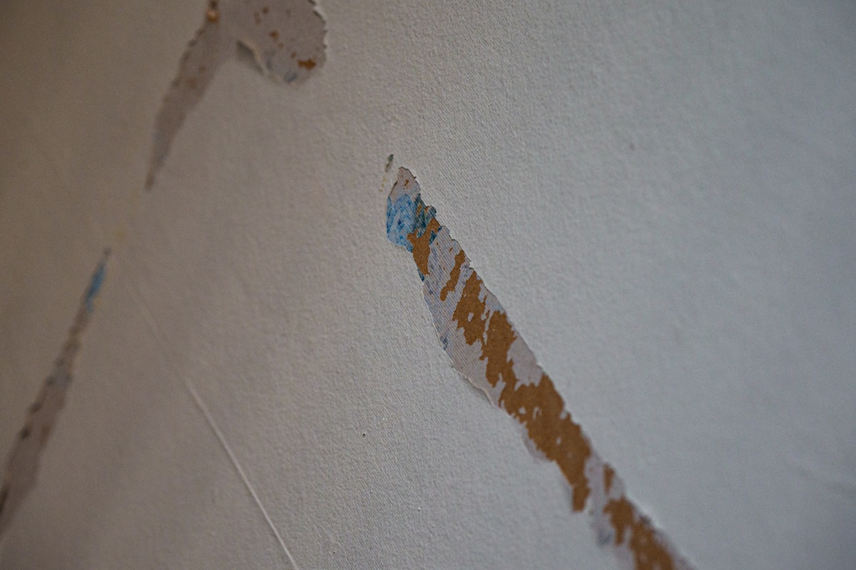 Mold Remediation service in Waldorf, MD